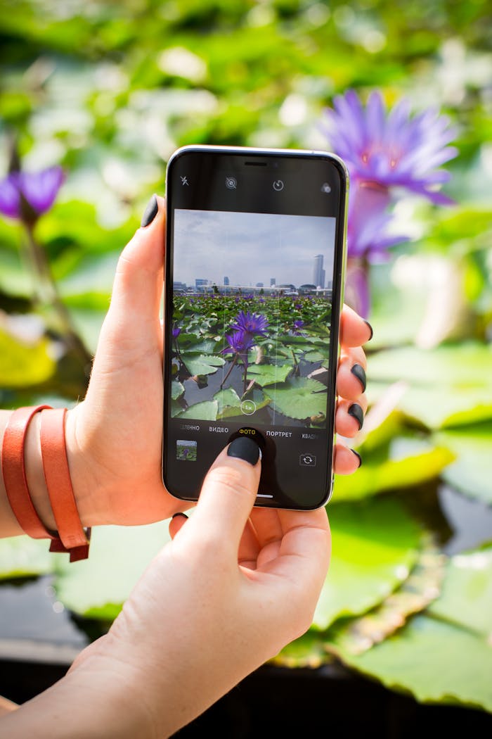 Accueil Pexels Photo 2573994