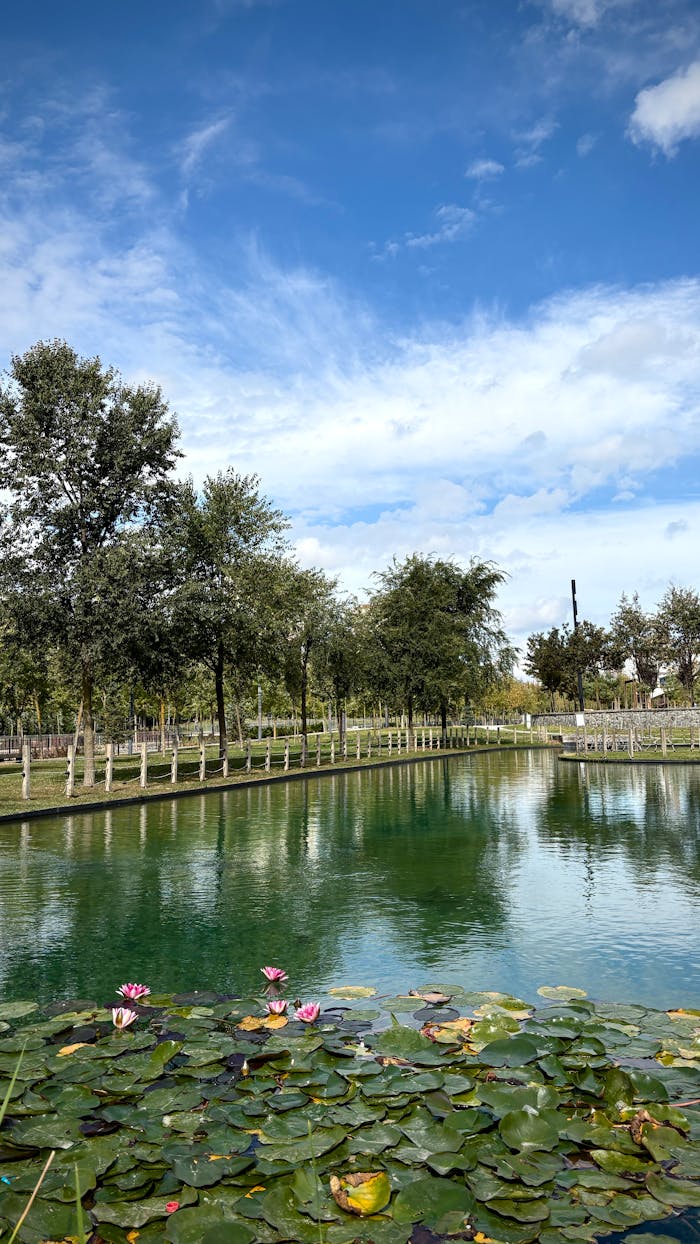 services-02 pexels-photo-34236324.jpeg