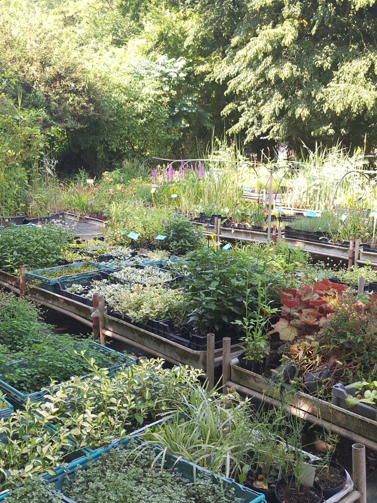 20230710 171353 20230710 171353