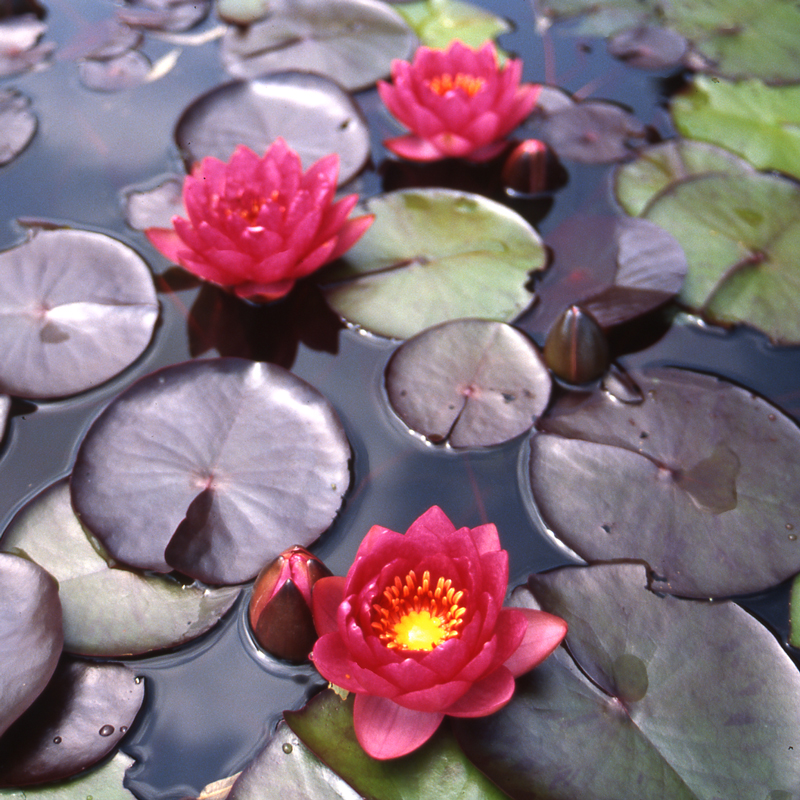 24d1f72d 0ffd 4747 bdb3 f18097e87735 24d1f72d 0ffd 4747 bdb3 f18097e87735